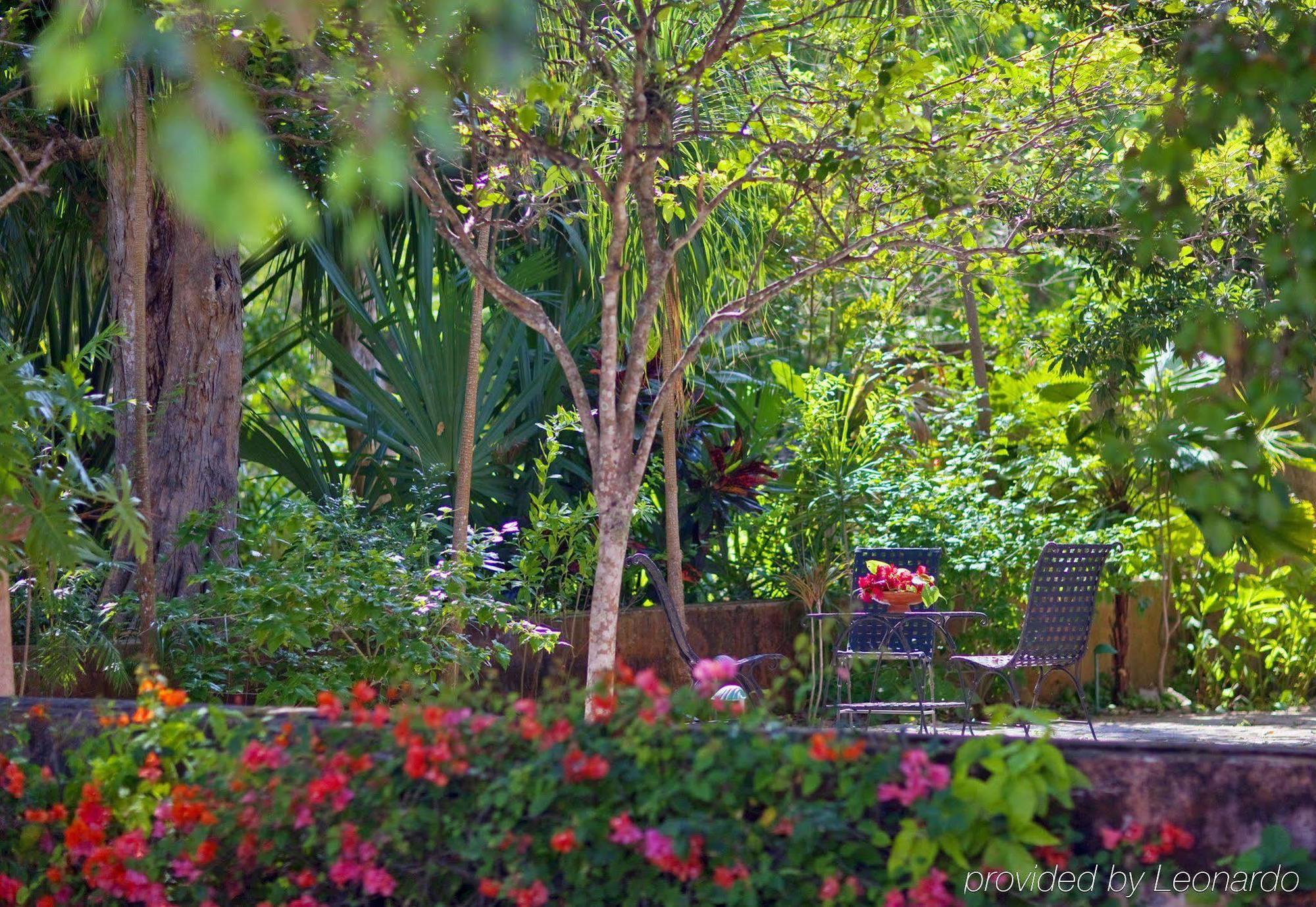 Hotel Hacienda Santa Rosa De Lima Exteriér fotografie